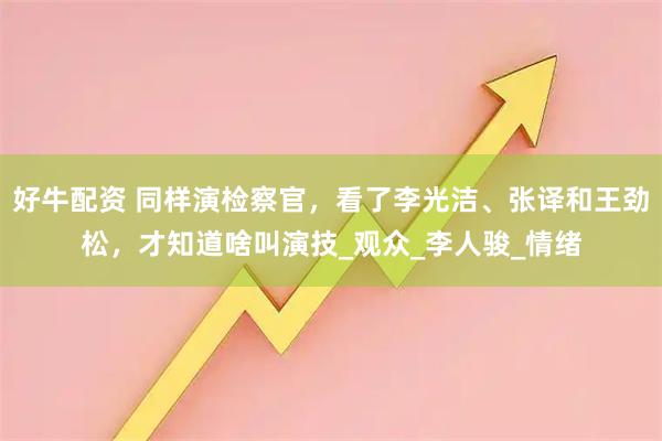 好牛配资 同样演检察官，看了李光洁、张译和王劲松，才知道啥叫演技_观众_李人骏_情绪